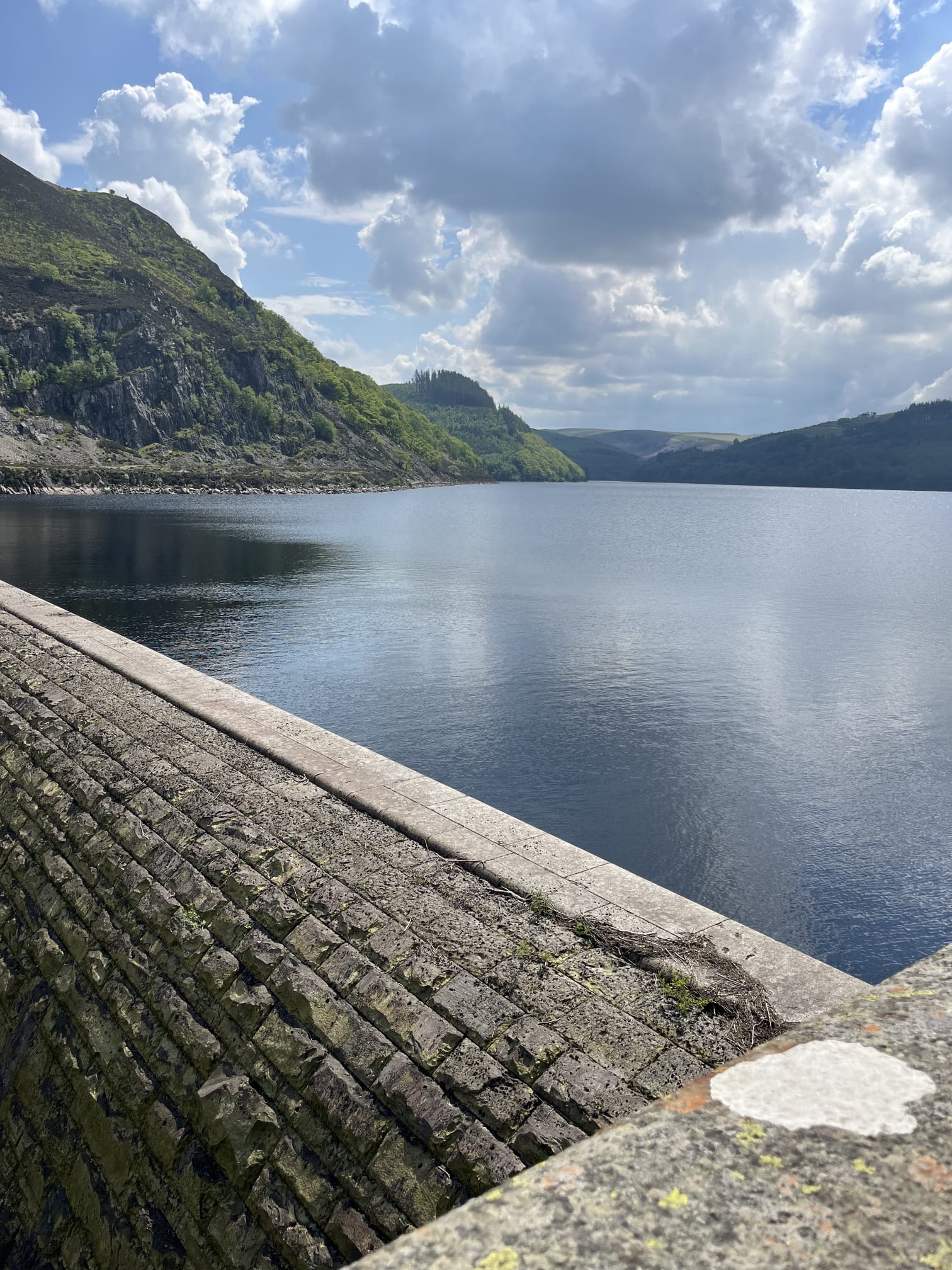 Wales 8